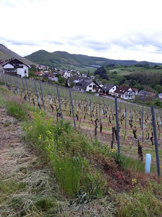Ferienwohnung Saarblick Ockfen Zewnętrze zdjęcie